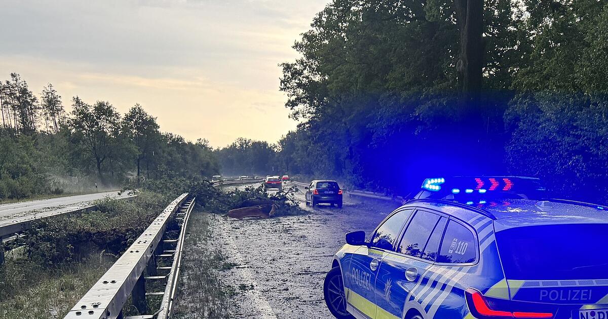 Thunderstorm over Nuremberg: Uprooted trees and flooded streets