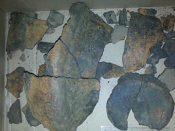 Etwa ein Drittel eines so genannten Kegelhalsgefäßes sowie Teile eines zweiten Gefäßes fand der Sander Mark Werner Ende Oktober in einer Kiesgrube in der Sander Flur, keine 50 Meter vom Main entfernt.