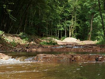 Schwellen können die Durchgängigkeit eines Bachlaufs für die Wasserorganismen verbessern. Foto: Archiv/Arkadius Guzy