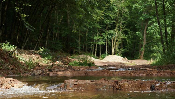 Schwellen können die Durchgängigkeit eines Bachlaufs für die Wasserorganismen verbessern. Foto: Archiv/Arkadius Guzy