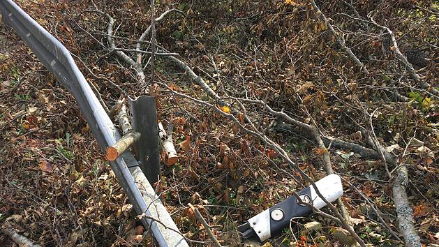 Entlang der  B 22 zwischen dem Ebracher Gemeindeteil Eberau und dem Burgwindheiner Gemeindeteil Untersteinach gibt es nach Sturm Fabienne noch etliches aufzur&auml;umen. Foto: Anette Schreiber