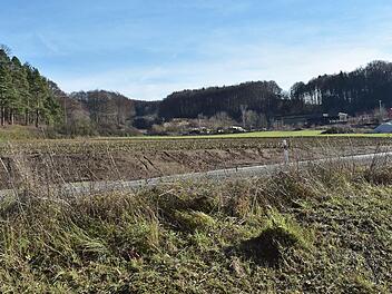 Am Ende des Gewerbegebiets (rechts) wollen fünf Bauwerber bauen. Foto: Petra Malbrich