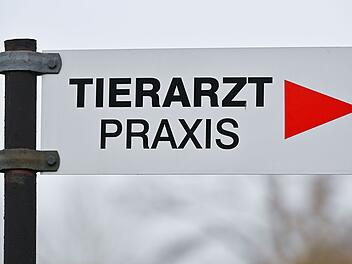 Tierarzt - Praxis