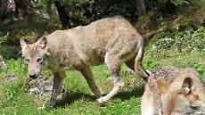 Grünes Klassenzimmer im Wildpark in Hundshaupten: Kosten 230 000 Euro, Förderung 201 000 Euro