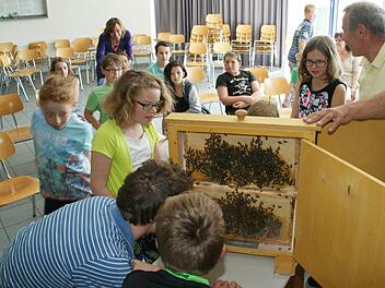 Fasziniert zeigten sich die Fünftklässler der Mittelschule Eltmann vom Projekt "Schulbiene" mit dem Imker Karl Stapf. Foto: Sabine Weinbeer