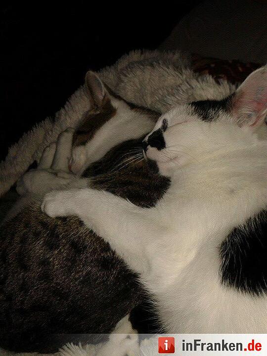 Foto: Bettina Calina Grimm