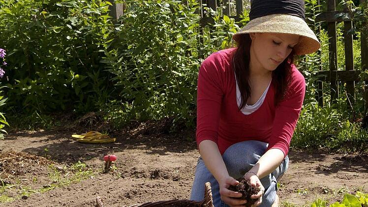 Hobbygärtner sollten langsam mit der Gartenarbeit anfangen. (Symbolfoto: imago / Redeleit-L.)