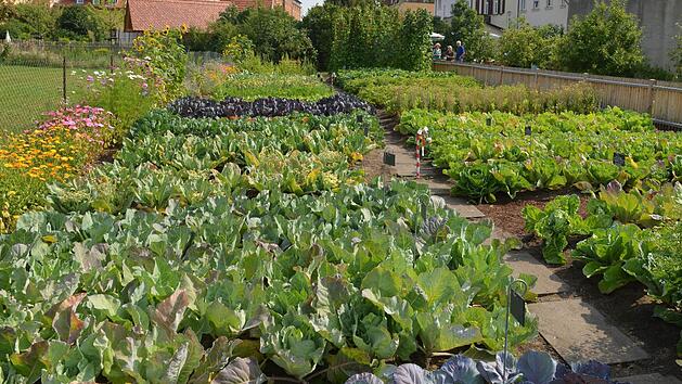 Symbolfoto: Ronald Rinklef