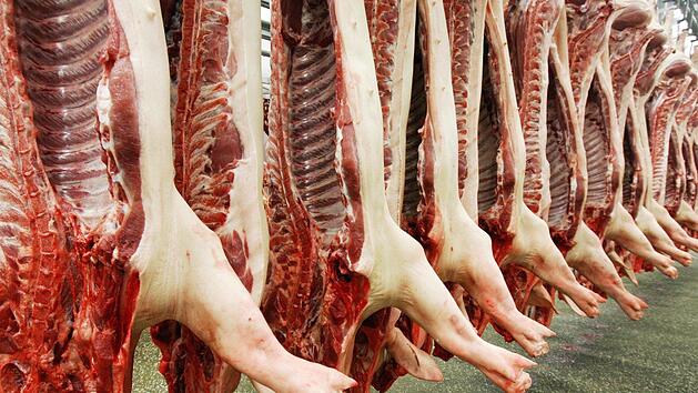 Tiersch&uuml;tzer werfen deutschen Schlachtbetrieben grausame Zust&auml;nde vor: Tiere werden gequ&auml;lt und bei teilweise vollem Bewusstsein get&ouml;tet. Eine ZDF-Doku hat nun nachgeforscht. Die Erkenntnisse sind erschreckend. Foto: Ronald Wittek/dpa