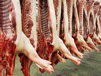 Tierschützer werfen deutschen Schlachtbetrieben grausame Zustände vor: Tiere werden gequält und bei teilweise vollem Bewusstsein getötet. Eine ZDF-Doku hat nun nachgeforscht. Die Erkenntnisse sind erschreckend. Foto: Ronald Wittek/dpa