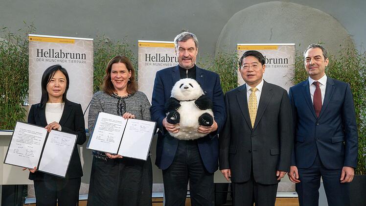 Panda-PK im Tierpark Hellabrunn