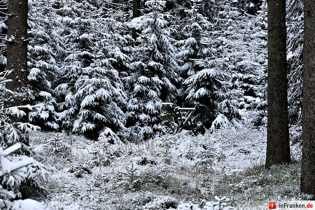 Schnee im Fichtelgebirge