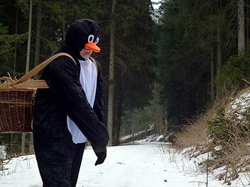 Ein seltenes Foto gelang in den Wäldern von Steinwiesen. Der Osterpinguin hilft bei Eis und Schnee beim Osterhasen aus.Foto: Susanne Deuerling