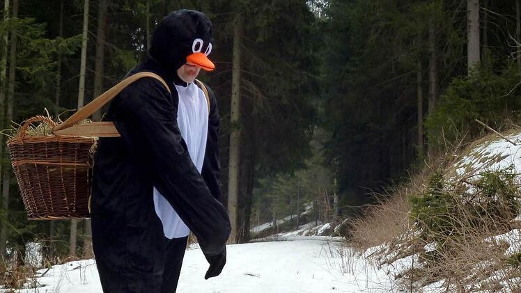 Ein seltenes Foto gelang in den Wäldern von Steinwiesen. Der Osterpinguin hilft bei Eis und Schnee beim Osterhasen aus.Foto: Susanne Deuerling