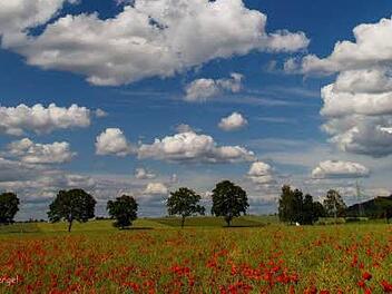 Foto: Lothar Stengel