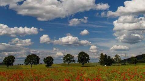 Foto: Lothar Stengel