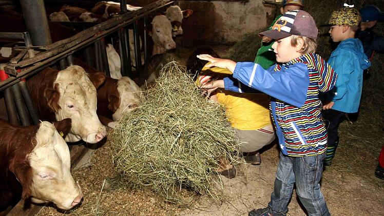 Foto: Richard Sänger