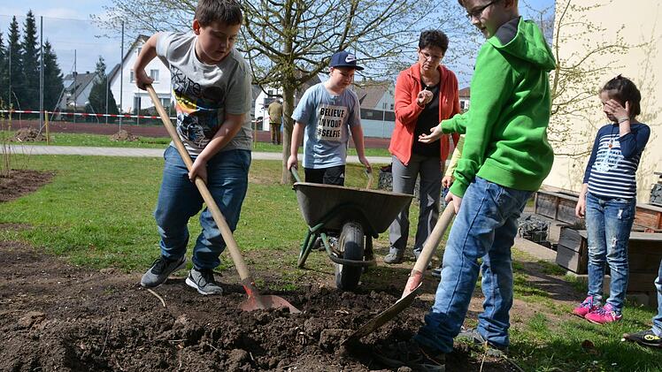 Mit vollem Einsatz zum schönen neuen Garten: Die Melkendorfer Grundschüler pflanzen unter der Anleitung von Friedhelm Haun ihre ersten Obstbäume. Foto: Dagmar Besand