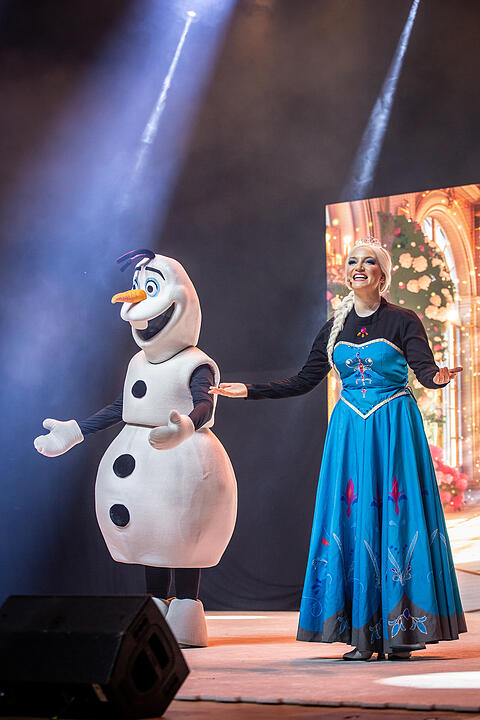 Märchenhafte Magie für alle Elsa, Anna und Olaf Fans!