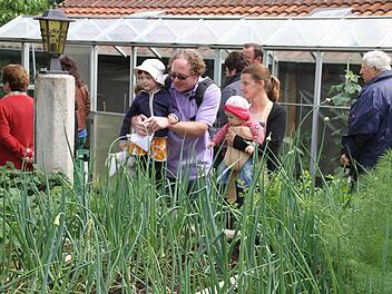 In diesem Garten ist es das Gemüse, das im Fokus des Interesses stand