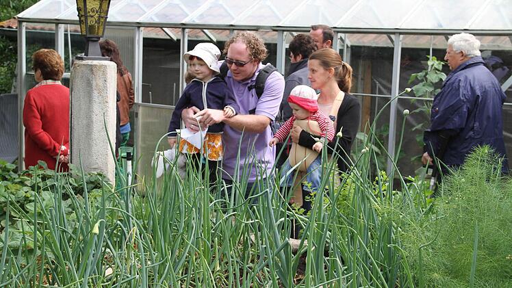 In diesem Garten ist es das Gemüse, das im Fokus des Interesses stand