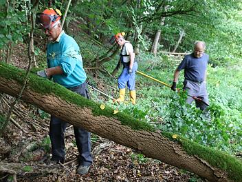 Walter Herold (von links), Heinz Schmück und Ewald Wehner arbeiten sich durch Gestrüpp. Hier wird ein Stamm zersägt.  Fotos: Kathrin Kupka-Hahn