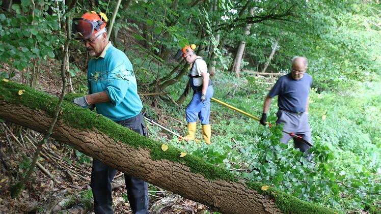 Walter Herold (von links), Heinz Schmück und Ewald Wehner arbeiten sich durch Gestrüpp. Hier wird ein Stamm zersägt.  Fotos: Kathrin Kupka-Hahn