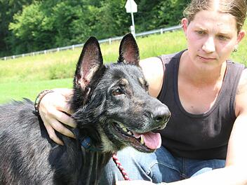 Schäferhündin Sofie hat überlebt. Jetzt spielt sie schon wieder gerne mit Pflegerin Eileen Kirschgen. Fotos: Heike Beudert