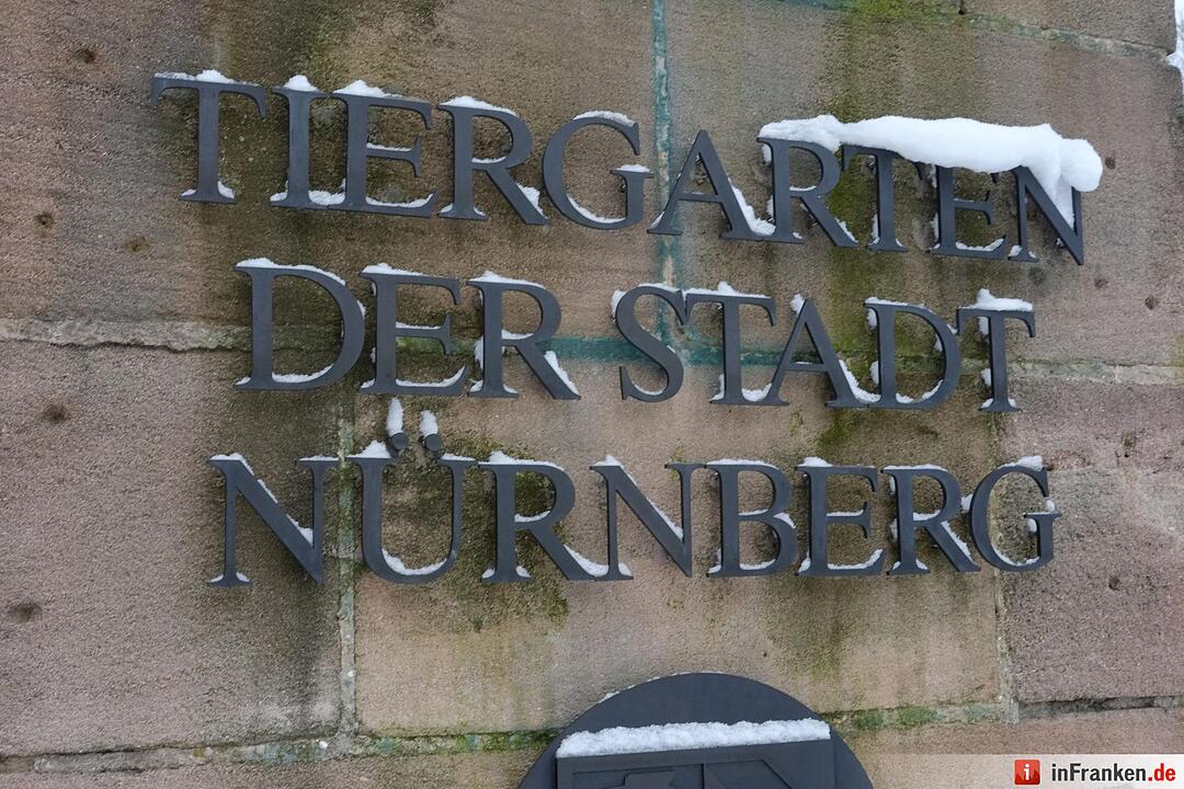 Winter im Tiergarten Nürnberg