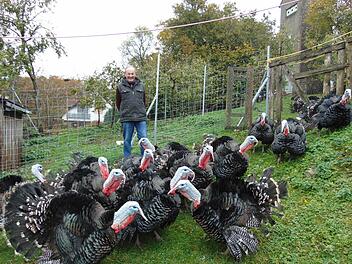 "Es ist mir ein Anliegen, den Puten ein würdiges und artgerechtes Leben zu ermöglichen", sagt Putenhalter Alfred Hofmann. Foto: Barbara Herbst