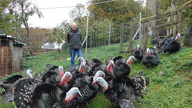 "Es ist mir ein Anliegen, den Puten ein würdiges und artgerechtes Leben zu ermöglichen", sagt Putenhalter Alfred Hofmann. Foto: Barbara Herbst