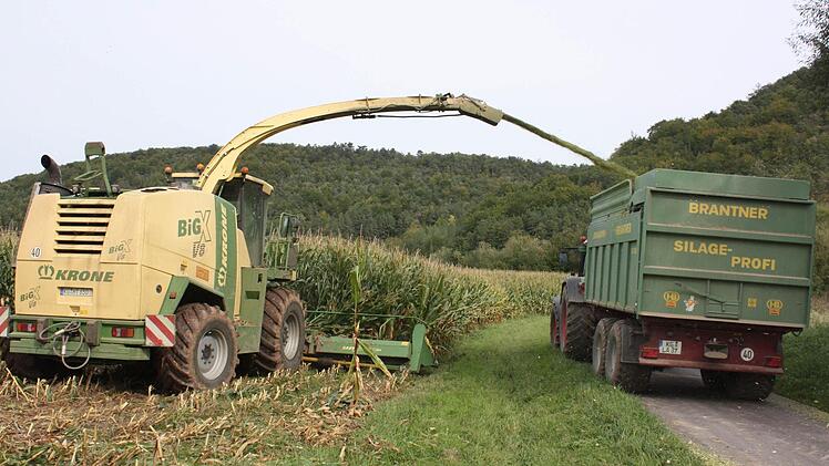 Vom Häcksler direkt auf den Transportanhänger-