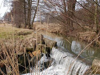 Der Stau in der Alster  bei Oberelldorf soll durch eine Umgehung für Fische und andere Tiere passierbar werden. Fotos: Rainer Lutz