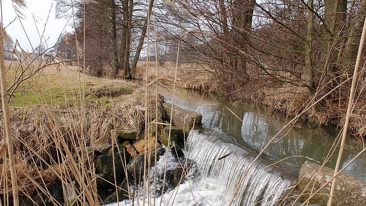 Der Stau in der Alster  bei Oberelldorf soll durch eine Umgehung für Fische und andere Tiere passierbar werden. Fotos: Rainer Lutz