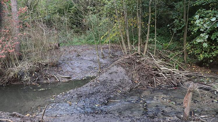 Vom Damm und dem aufgestauten Teich ist derzeit nicht viel zu sehen, nachdem an der Dobrach schwere Maschinen im Einsatz waren.Foto: Katrin Geyer
