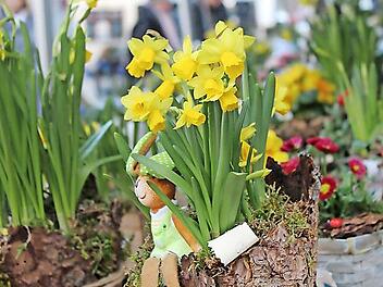 Auch in diesem Jahr dürfen sich die Kinder auf eine Pflanzaktion mit dem Gärtnertrupp des städtischen Bauhofs beim Frühjahrsmarkt freuen.