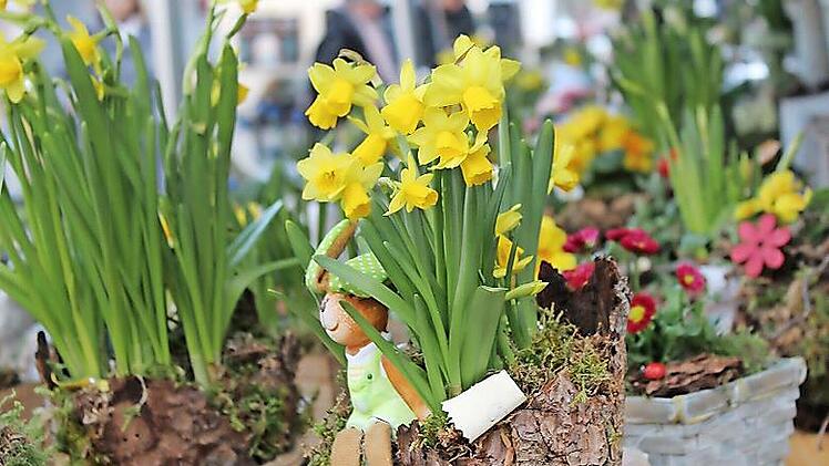 Auch in diesem Jahr dürfen sich die Kinder auf eine Pflanzaktion mit dem Gärtnertrupp des städtischen Bauhofs beim Frühjahrsmarkt freuen.