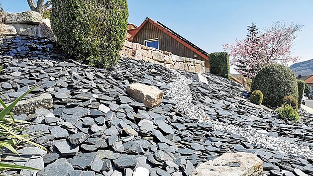 Pflanzen ragen aus einem Vorgarten mit Kieselsteinen. In Coburg möchte man gegen die umstrittenen Steingärten vorgehen.
