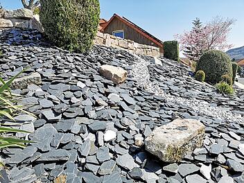 Pflanzen ragen aus einem Vorgarten mit Kieselsteinen. In Coburg m&ouml;chte man gegen die umstrittenen Steing&auml;rten vorgehen.