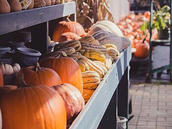 Wildpark Hundshaupten veranstaltet großen Herbstmarkt - mit Bastelaktionen