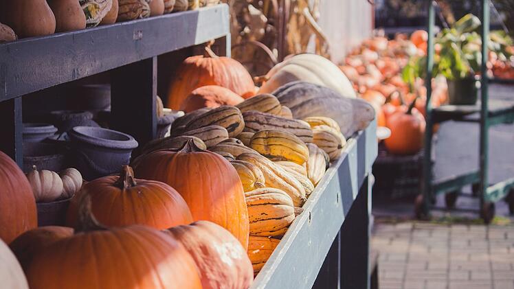 Wildpark Hundshaupten veranstaltet großen Herbstmarkt - mit Bastelaktionen