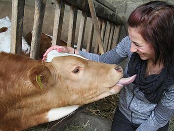 Ein Zungenkuss ohne Vorwarnung bekam Diana Weber. "Kälbchen sind so süß", sagte die Besucherin in Schimmendorf beim "Tag des offenen Dorfes" Foto: Sonja Adam