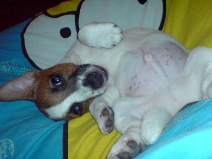 Foto: jessy89