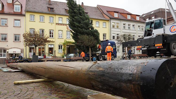Der Maibaum macht dem Weihnachtsbaum Platz. Foto: Arkadius Guzy