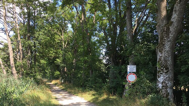 Der Seerundweg führt vom Schlosspark  rund um das Gewässer.Foto: Schreiber