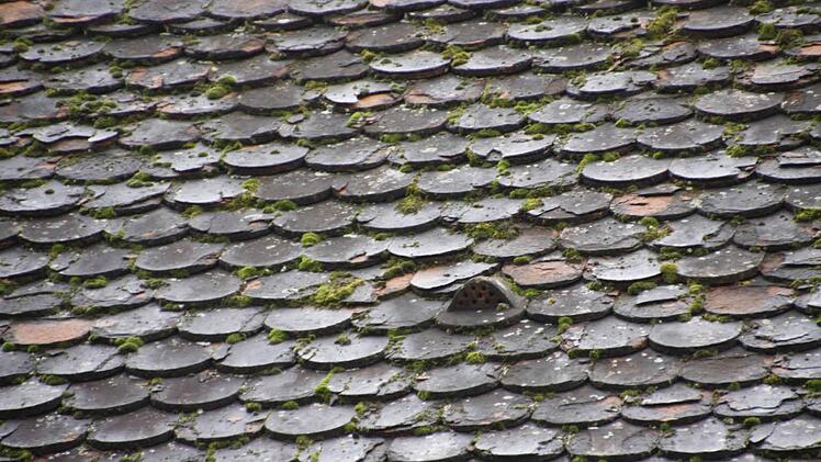 Detailbild vom Dach des Anbaues, das mittlerweile undicht ist und Wasserschäden verursacht.