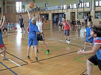 Mit viel Spaß und Einsatz waren die fünf Schulteams beim Abschlussturnier des diesjährigen Brose-Baskets-Schulprogramms in der Nordhalbener Nordwaldhalle dabei. Sieger wurde Team 1 der Lucas-Cranach-Schule Kronach.  Foto: Norbert Neugebauer