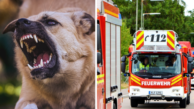 V&ouml;lklingen/ Saarland: Feuerwehr rettet Besitzer vor wildem Hund