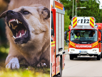 Völklingen/ Saarland: Feuerwehr rettet Besitzer vor wildem Hund