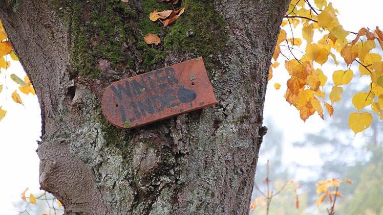 ... auf dem Schulhof der Grundschule steht eine. Foto: Ulrike Müller